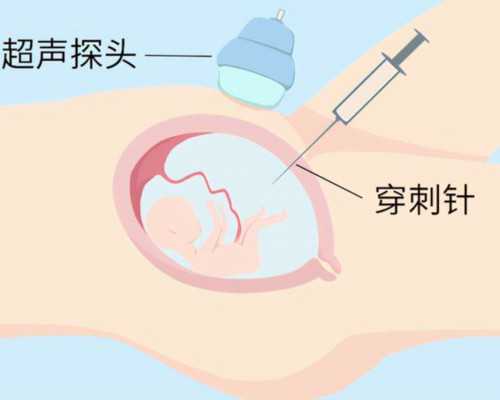 深圳供卵试管可以包成功吗,深圳/广州第三代试管婴儿包成功-福州市区哪里放生